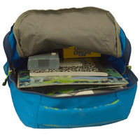 Load image into Gallery viewer, Scout Backpack
