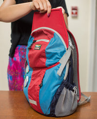 Load image into Gallery viewer, Small Backpack Inserts
